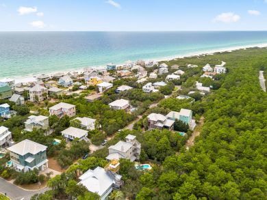 Beaches Of South Walton Home 940245
