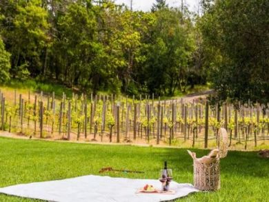 Great Farmhouse with Pool & Beautiful Views of the Vineyard