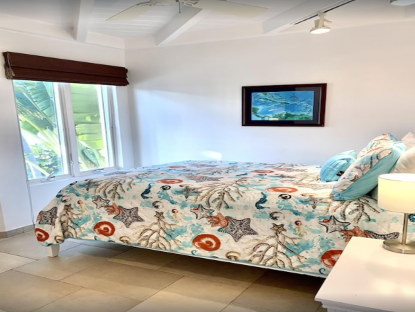 Beachfront Five Bedroom Rental Home in St. Thomas