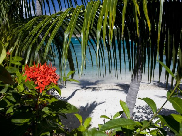 Beachfront Five Bedroom Rental Home in St. Thomas
