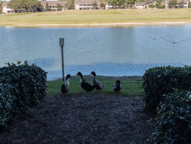 Beaches Of South Walton Condo 940854