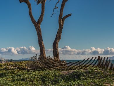 Two Bedroom Walk to Beach Rental Condo in Carpinteria