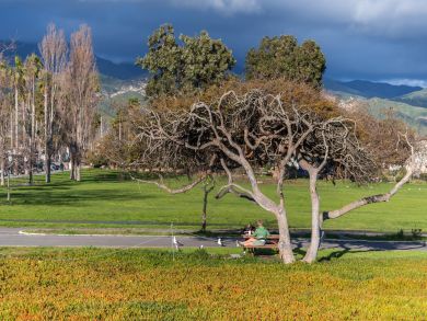 Two Bedroom Walk to Beach Rental Condo in Carpinteria