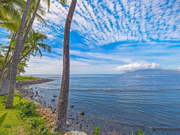 Oceanfront Three Bedroom Vacation Home 15ft From Ocean