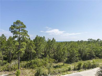 Five Bedroom Vacation Home in Santa Rosa Beach