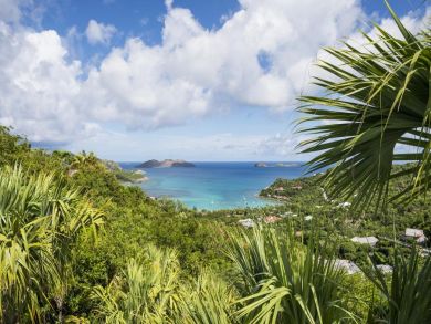 St. Barts Home 941063