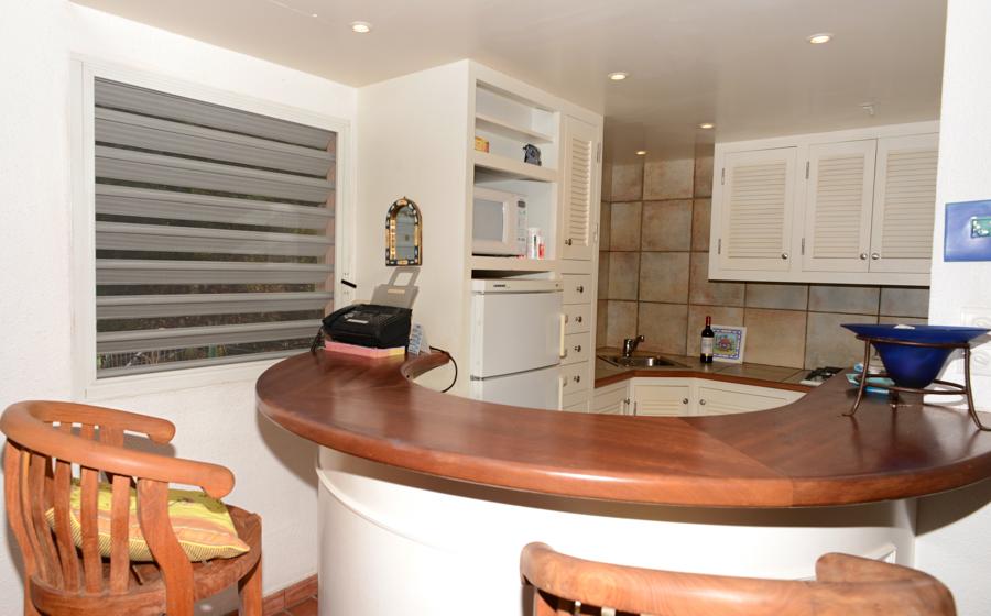 St. Barts Condo 941105