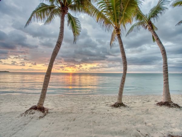 Beautiful 9 Bedroom Tulum Oceanfront Villa Sleeps 26 Guests