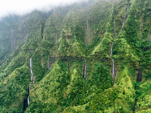 Kilauea Vacation Rental Home Five Bedrooms