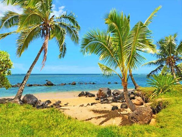 Kilauea Vacation Rental Home Five Bedrooms