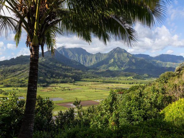 Kilauea Vacation Rental Home Five Bedrooms
