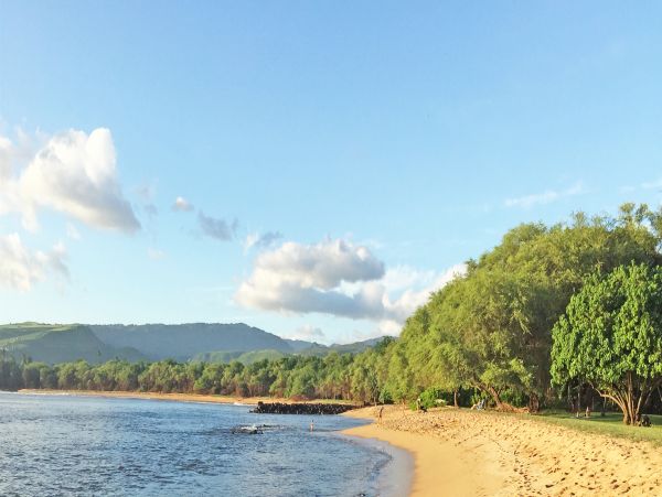 Koloa Oceanfront Four Bedroom Vacation Home Sleeps 8