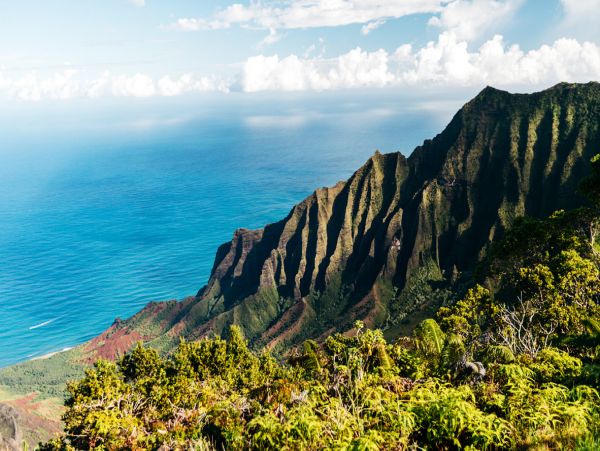 Poipu Luxury Vacation Rental Sleeps Ten Guests Ocean Views