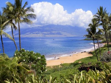 2 Bedroom Maui Vacation Condo Sleeps 6 Guests Ocean Views
