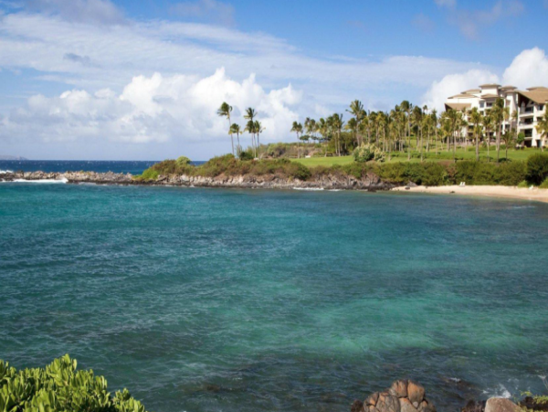 View of the Beach