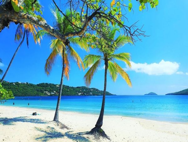 St. Thomas Luxury Villa Rental - Caribbean Vacation Home with Pool & Harbor Views