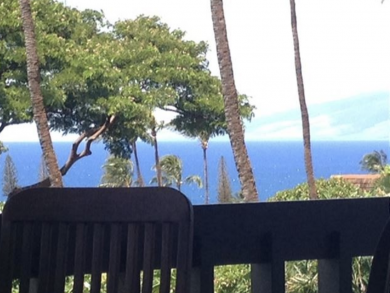 Luxury Boutique Maui Beach Resort - additional view, photo 5