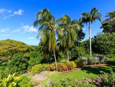 Barbados Home 942424
