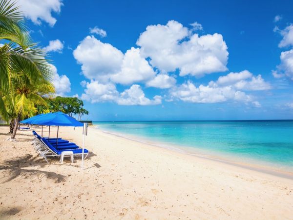 Luxury Vacation Villa in Barbados with Private Pool Sleeps 18