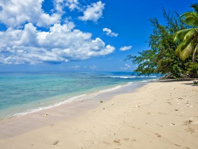 Barbados Home 942443