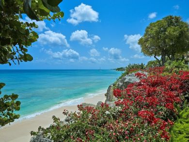 Barbados Home 942448