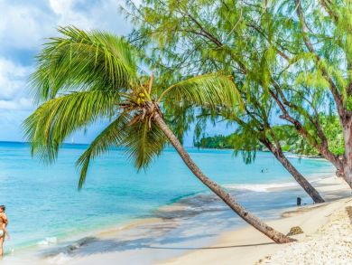 Barbados Home 942452