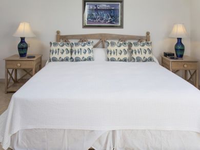 Barbados Home 942454