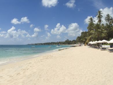Barbados Home 942459