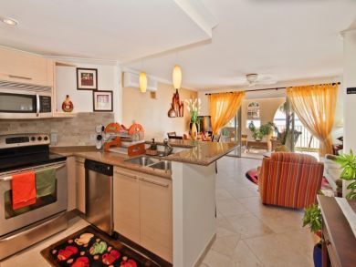 Barbados Condo 942466