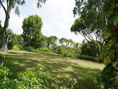 Barbados Home 942515