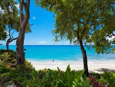 Barbados Home 942522