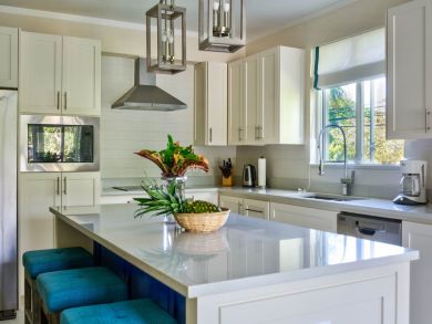 Barbados Home 942531