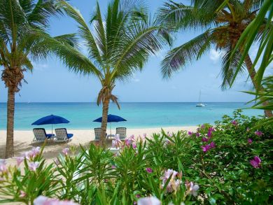 Barbados Home 942596