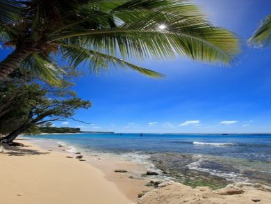 Barbados Home 942606