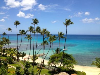 Barbados Condo 942619