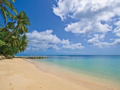 Barbados Condo 942619