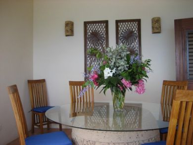 British Virgin Islands Home 942661