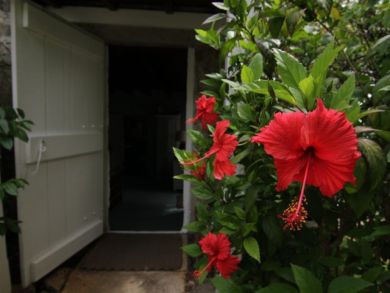 British Virgin Islands Home 942664