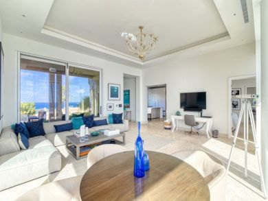 British Virgin Islands Home 942686