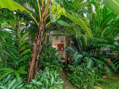 Jamaica Home 942848