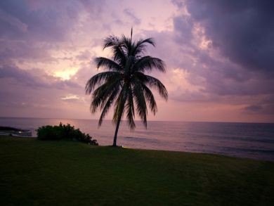 Jamaica Home 942854