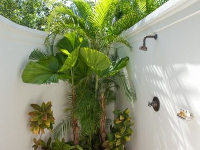 Jamaica Home 942866