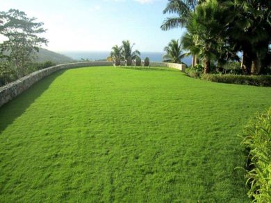 Jamaica Home 942870