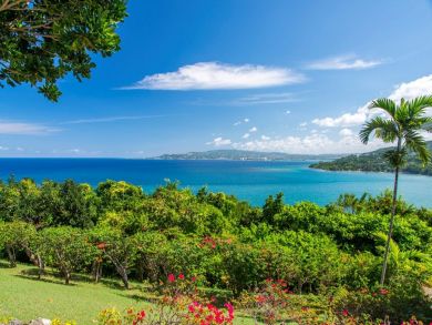 Jamaica Home 942885 Jamaica Home 942885