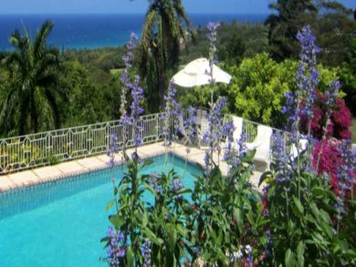 Jamaica Home 942886 Jamaica Home 942886