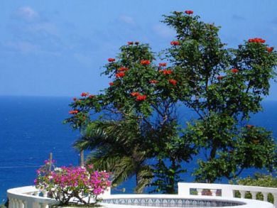 Jamaica Home 942895