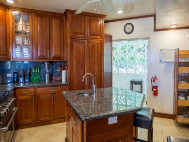 Jamaica Home 942902