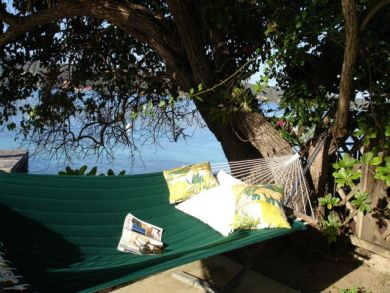 Jamaica Home 942916