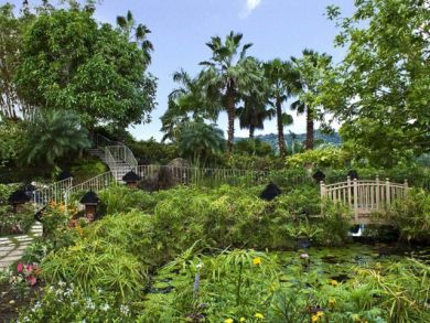 Jamaica Home 942917