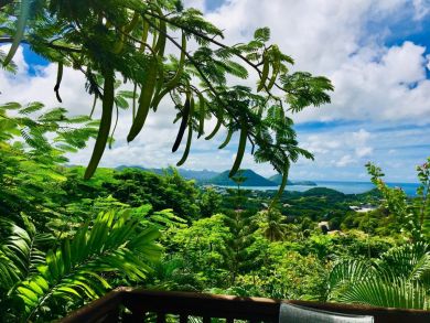 St. Lucia Home 943029